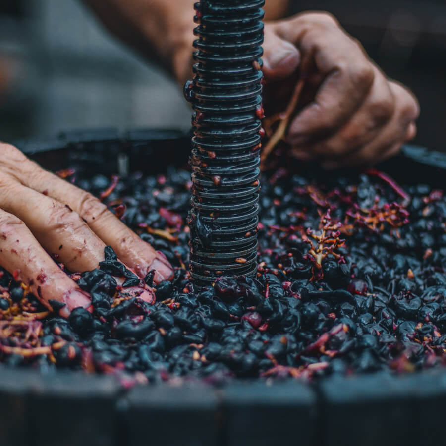 vino cannonau di sardegna